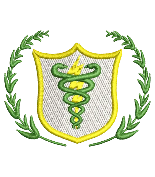 Matriz de Bordado Curso Fisioterapia